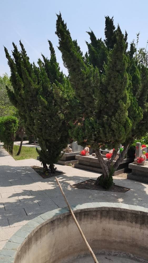 1740486367520215.jpg 微信图片_20240401111055.jpg