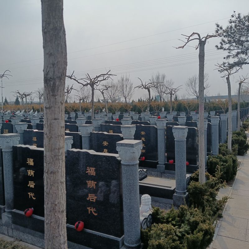 微信图片_20240403091151.jpg