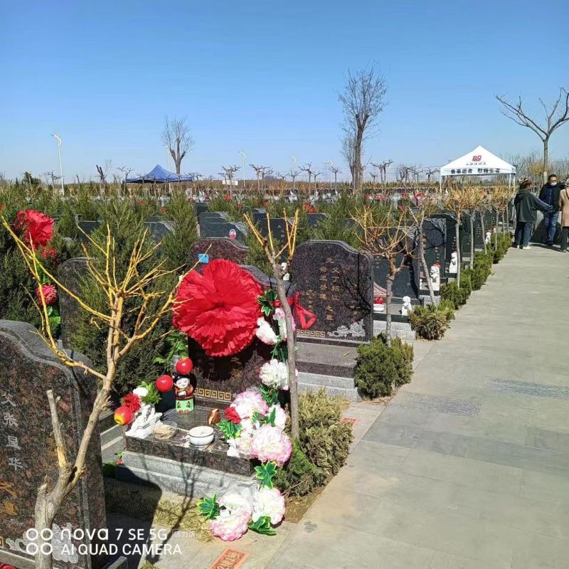 永安陵公墓-永安陵人文纪念园会与自然和谐共生的安息之地吗？