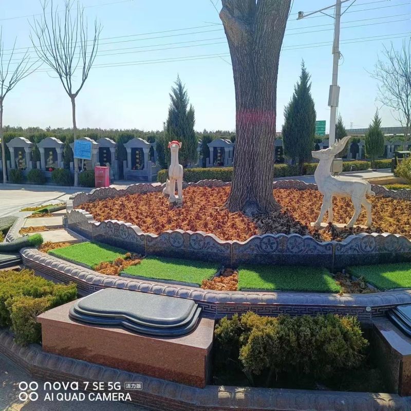 1766318753160484.jpg 微信图片_20230312134139.jpg