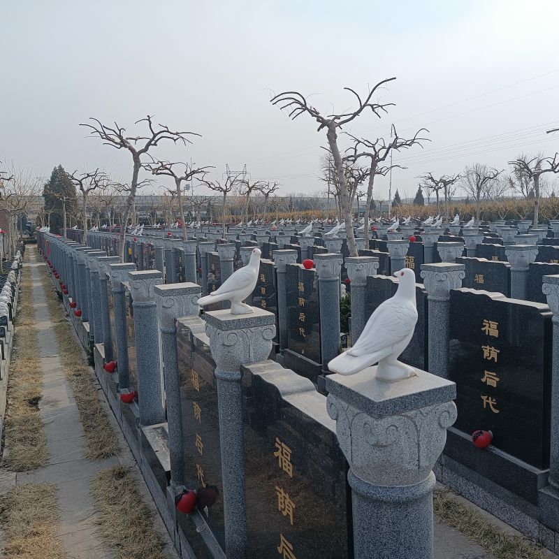 1766319135164264.jpg 微信图片_20240403091134.jpg