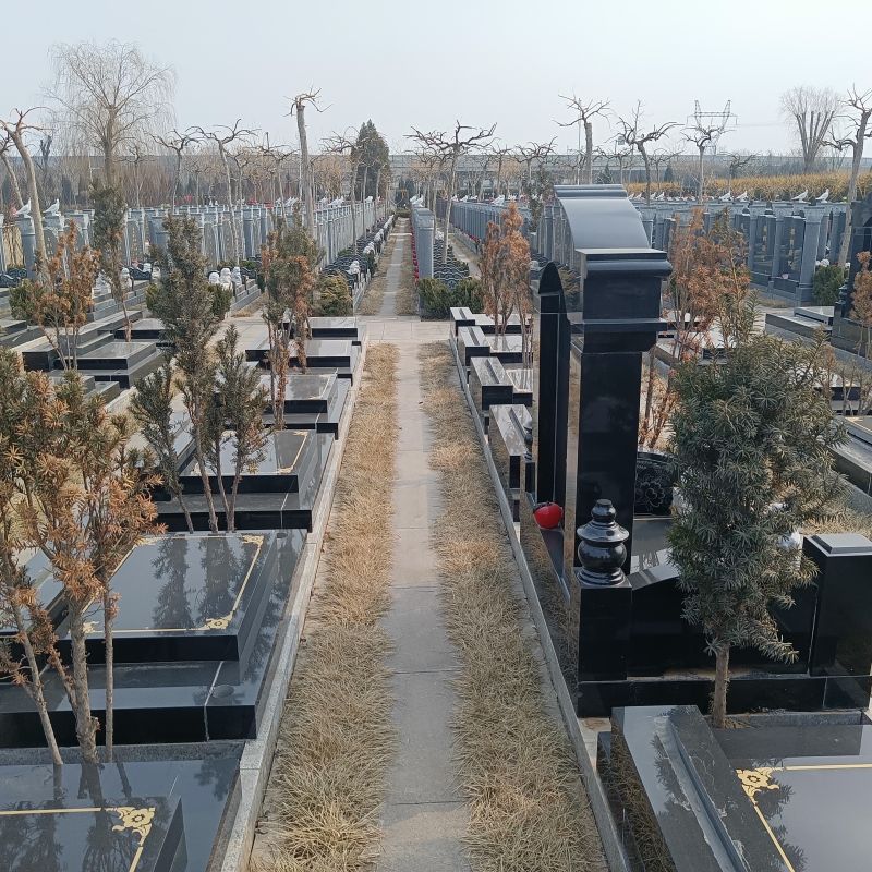 永安陵公墓-永安陵人文纪念园科技与人文并重的创新服务