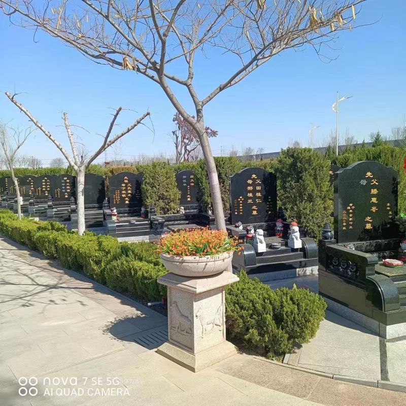 微信图片_20230312134122.jpg